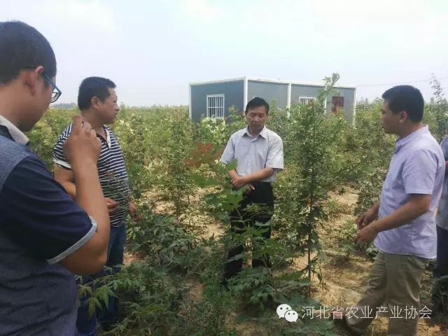 孫悅明會長等協(xié)會領(lǐng)導到安平縣會員單位調(diào)研， 取得良好效果