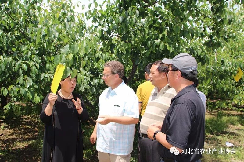 美國農(nóng)業(yè)專家應(yīng)邀來我省指導(dǎo)特色果樹、苗木種植管理技術(shù)