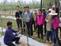 蘋果拉枝有技巧，這些竅門要記牢！不懂別亂拉！