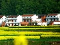 農(nóng)村宅基地20問，每一問都和你有關(guān)