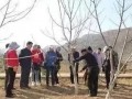 治蟲不見蟲，才是高水平！果樹病蟲害防治最佳時機(jī)到了！