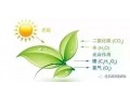 作物長不好，90%都是缺碳造成的，不信你看！
