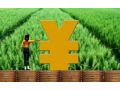農業(yè)農村部：全面推行農村承包土地經(jīng)營權抵押貸款