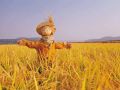 這15項(xiàng)補(bǔ)貼即將截止，錯(cuò)過(guò)就要再等一年了！