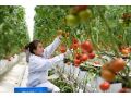 @農(nóng)民朋友，想增收致富嗎？高素質(zhì)農(nóng)民培養(yǎng)來了！