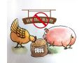 飼料“禁抗”新政出臺，行業(yè)準備好了嗎？