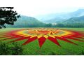 做大做強(qiáng)！我省將重點抓好這7大類24種農(nóng)業(yè)優(yōu)勢特色產(chǎn)業(yè)