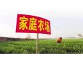家庭農(nóng)場(chǎng)多大規(guī)模才合適？