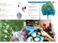 國際農業(yè)線上交流培訓對接系列活動之四——以色列莖水勢傳感器，為您提供最優(yōu)適時灌溉方案
