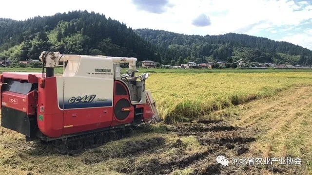 2020石家莊·國際農業(yè)技術交流對接系列活動之九——帶您了解日本有機種植技術